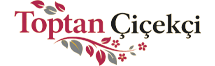 totpancicekcicomlogo2026