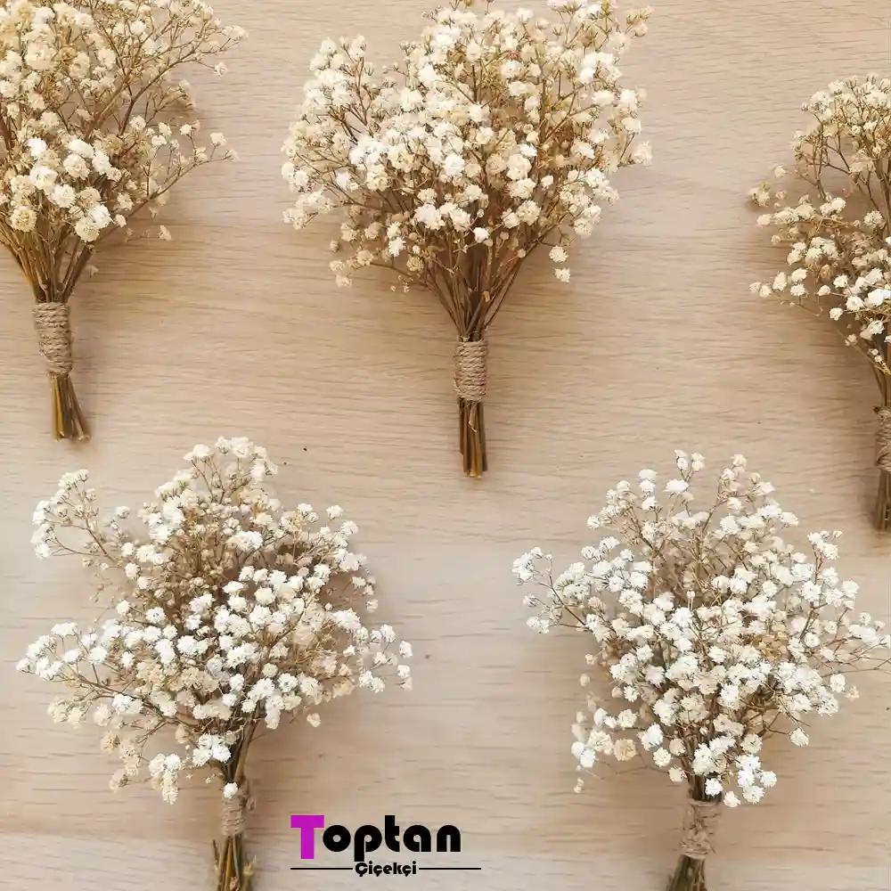 Gelin Buketi İçin Şoklanmış Cipso Çiçeği ve Krem Renk Yaka Çiçeği 10 krem renk yaka çiçeği