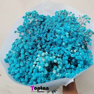 Cipso çiçek üreticileri totpan çiçek mavi cipso şoklanmış çiçek