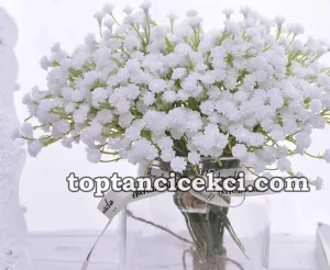 beyaz cipso çiçek, beyaz cipso demeti, beyaz cipso buketi, taze beyaz cipso, canlı beyaz cipso çiçek, kar beyazı cipso, beyaz cipso çiçek siparişi, saf beyaz cipso, gelin buketi beyaz cipso, beyaz cipso aranjman, cipso çiçek beyaz, cipso çiçek, en güzel beyaz cipsolar, beyaz cipso satın al, dekoratif beyaz cipso