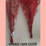 Kırmızı nar çiçeği renk şoklanmış cipso çiçeği kuru cipso çiçek