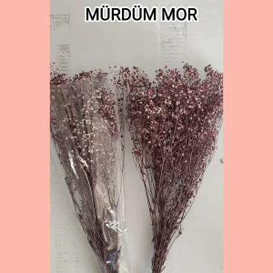Mürdüm mor şoklanmış cipso çiçeği