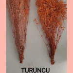 Turuncu renk şoklanmış cipso çiçeği kuru cipso çiçek