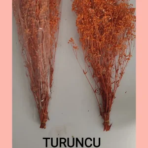 Turuncu renk şoklanmış cipso çiçeği kuru cipso çiçek