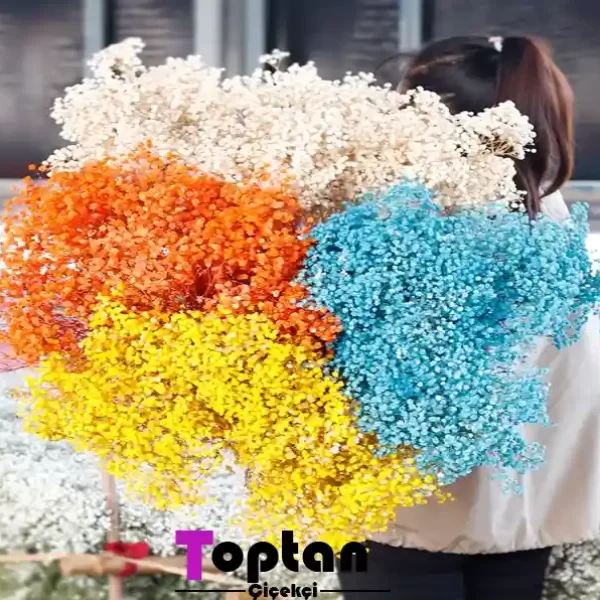 Antalya Cipso Çiçek - Şoklanmış Cipso Çiçek 20 şoklanmış cipso çiçek toptan satın al